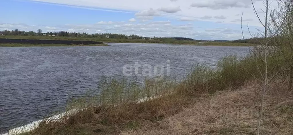 Участок в Псковская область, Псковский район, д. Подбережье ул. ... - Фото 1