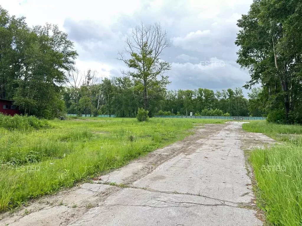 Участок в Новосибирск, Кайтымовская улица, 14 (360 м) - Фото 0