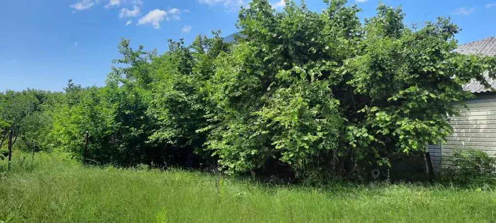 Участок в Краснодарский край, Туапсинский муниципальный округ, с. ... - Фото 2