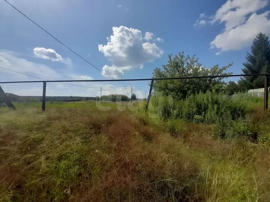 Участок в Саратовская область, Балашовский район, Пинеровское ... - Фото 1