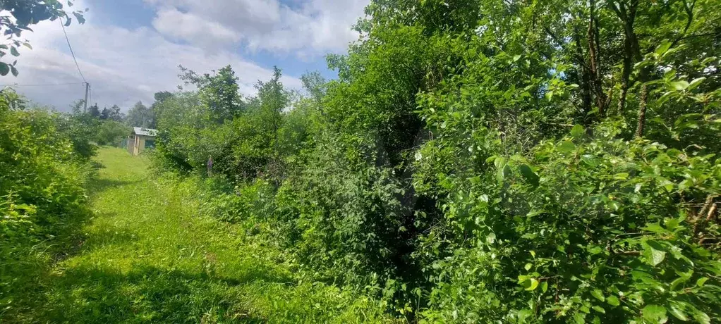 Участок 7,45 га (СНТ, ДНП) - Фото 1