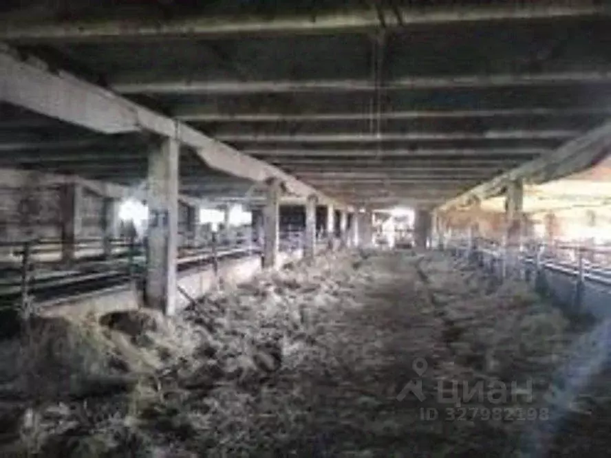 Участок в Волгоградская область, Новониколаевский район, Комсомольское ... - Фото 2