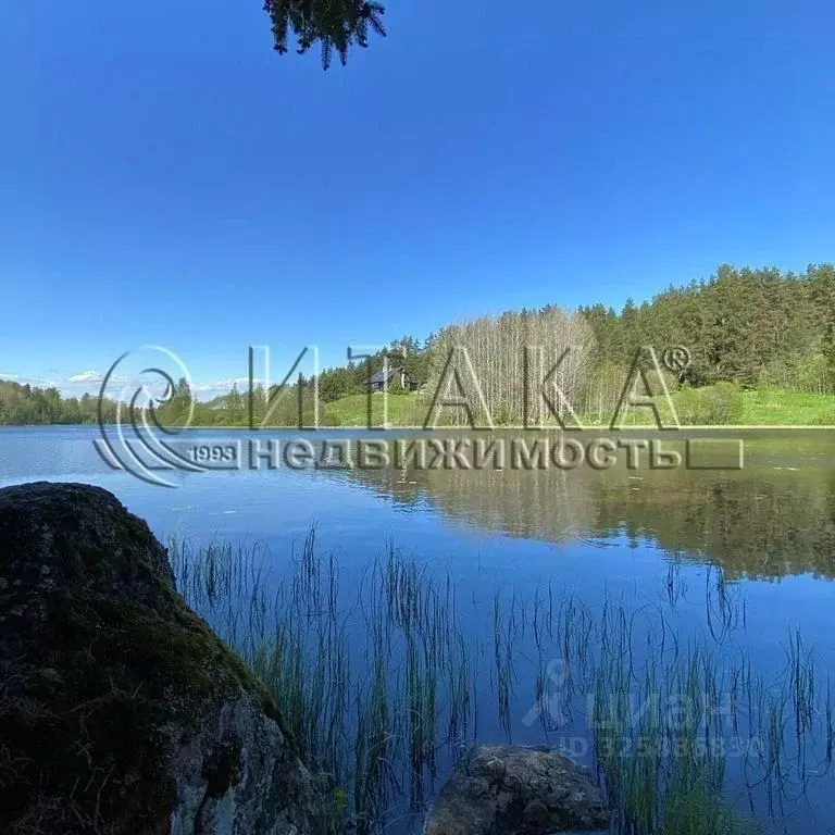 Участок в Ленинградская область, Выборгский район, Каменногорское ... - Фото 2