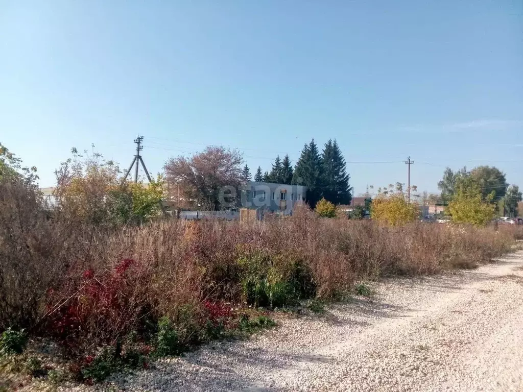 Участок в Тамбовская область, Мичуринск переезд Лавровский (8.2 сот.) - Фото 1