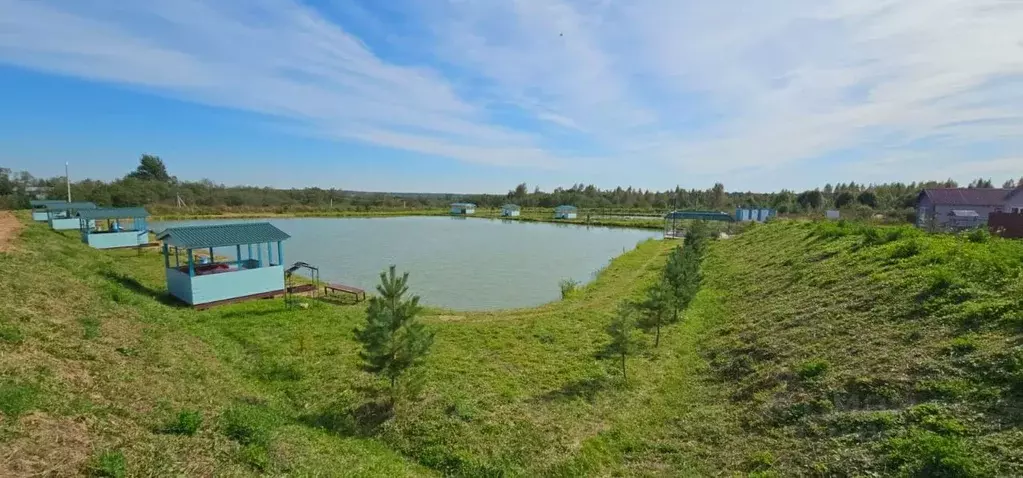 Участок в Московская область, Клин городской округ, д. Иевлево  (10.0 ... - Фото 2