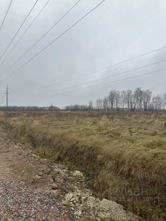 Участок в Ленинградская область, Ломоносовский район, Лопухинское ... - Фото 0