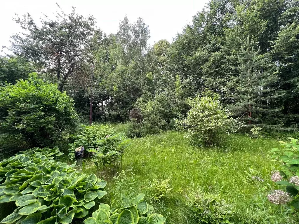 Участок в Московская область, городской округ Домодедово, деревня ... - Фото 1