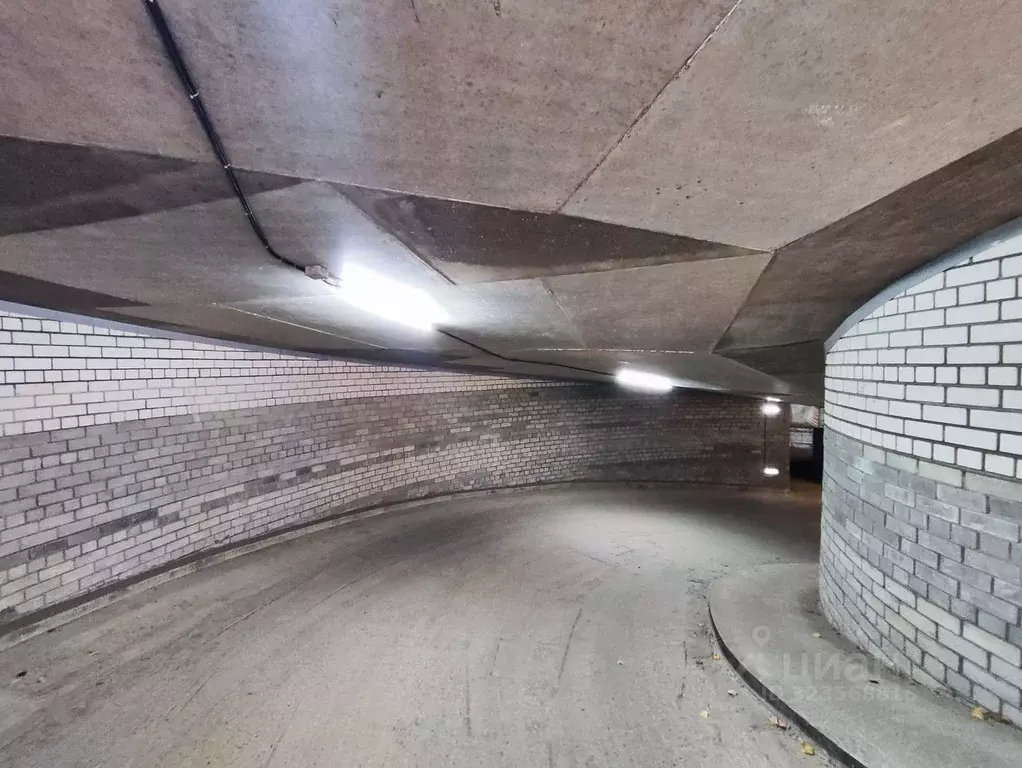 Гараж в Алтайский край, Барнаул ул. Антона Петрова, 221Г/5А (18 м) - Фото 2