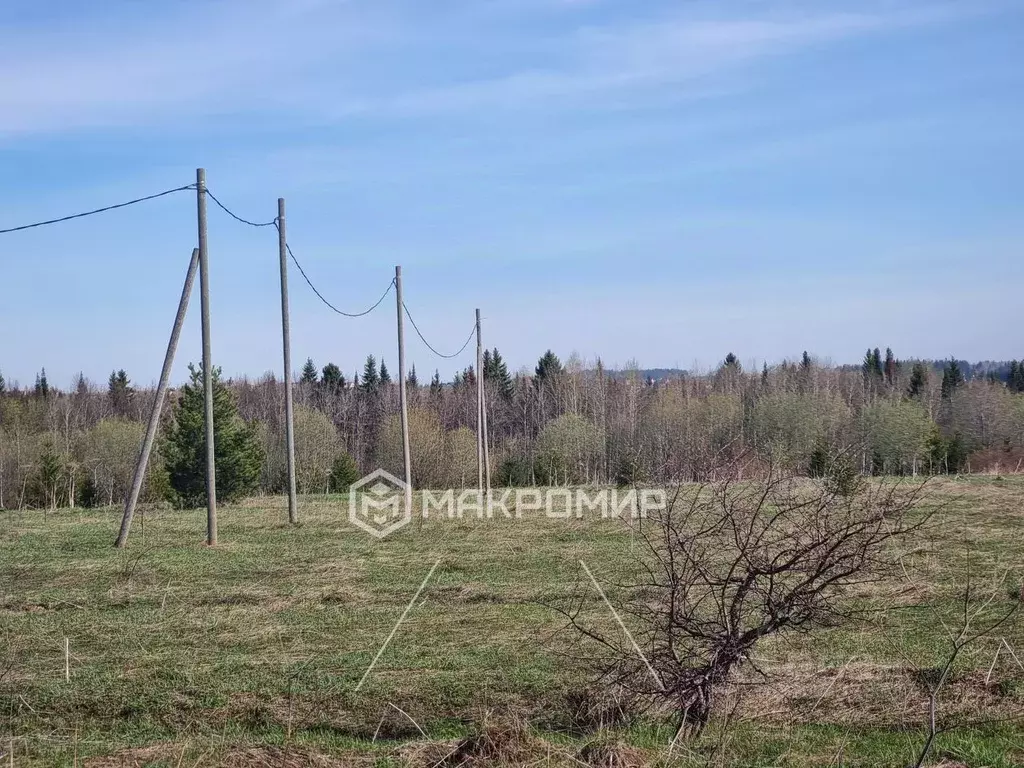 Участок в Пермский край, д. Болгары ул. Мира (10.0 сот.) - Фото 0