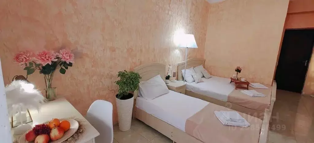 Комната Краснодарский край, Анапа муниципальный округ, с. Витязево ул. ... - Фото 1