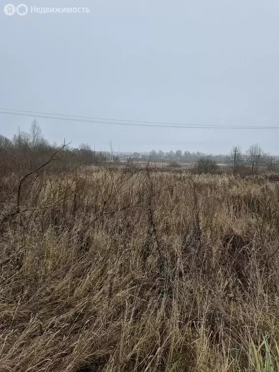 Участок в Ярославская область, Переславль-Залесский муниципальный ... - Фото 1