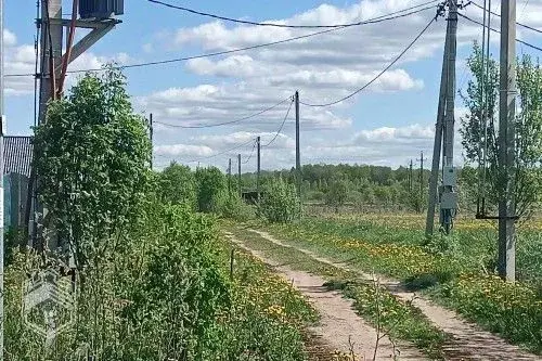 Участок в Новгородская область, Новгородский район, Савинское с/пос, ... - Фото 1