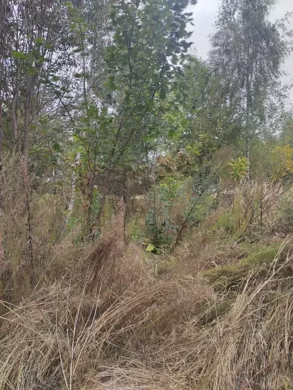 Участок в Московская область, Коломна городской округ, д. Барановка ... - Фото 2