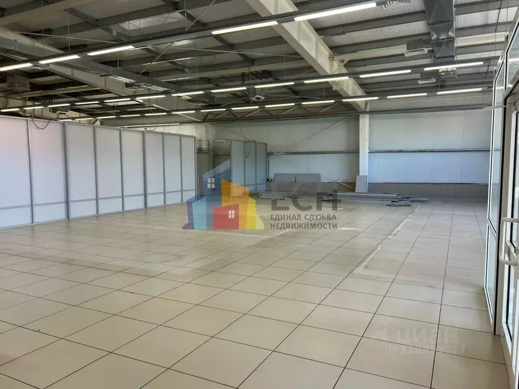 Торговая площадь в Тульская область, Новомосковск ул. Мира, 36Бс2 ... - Фото 2