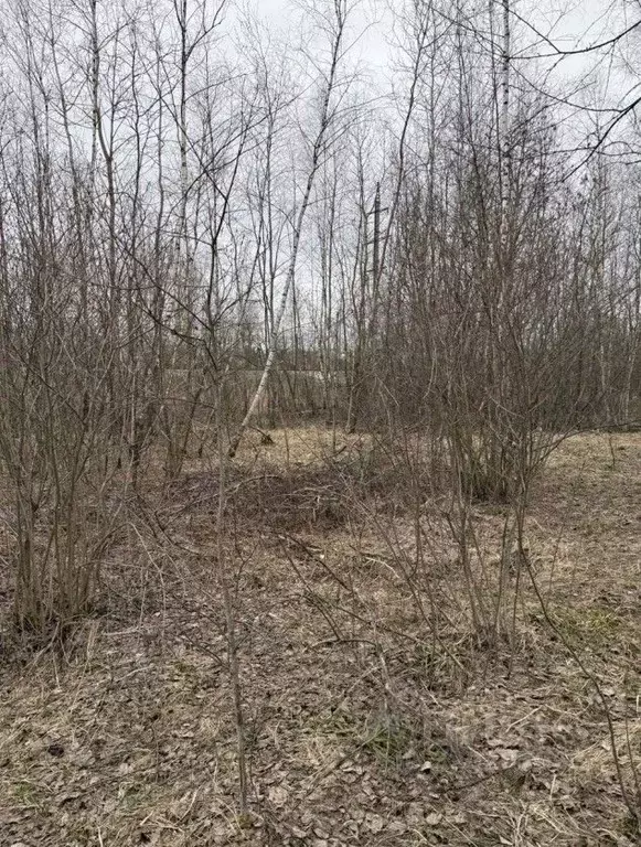 Участок в Московская область, Орехово-Зуевский городской округ, пос. ... - Фото 2