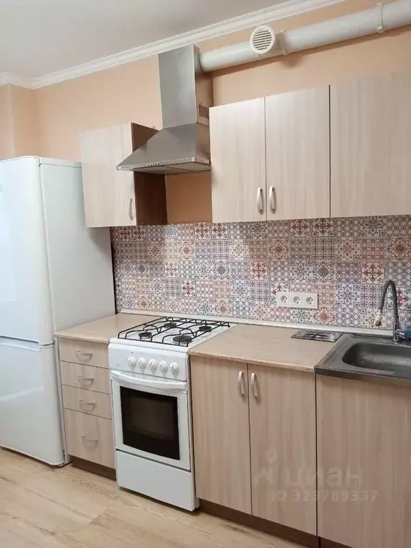 1-к кв. Ленинградская область, Гатчинский муниципальный округ, д. ... - Фото 2