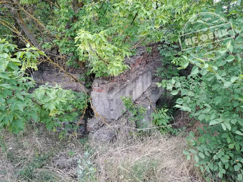 Участок в Ростовская область, Октябрьский район, Персиановское с/пос, ... - Фото 1