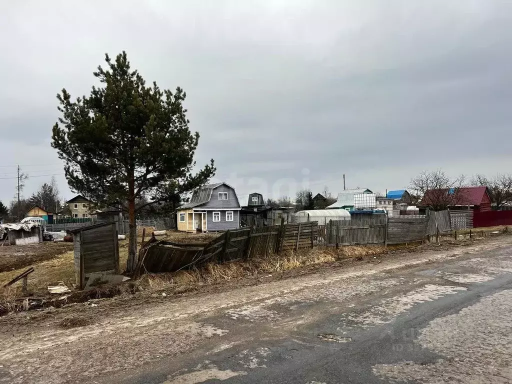 Участок в Вологодская область, Вологда Ручеек садоводческое ... - Фото 1