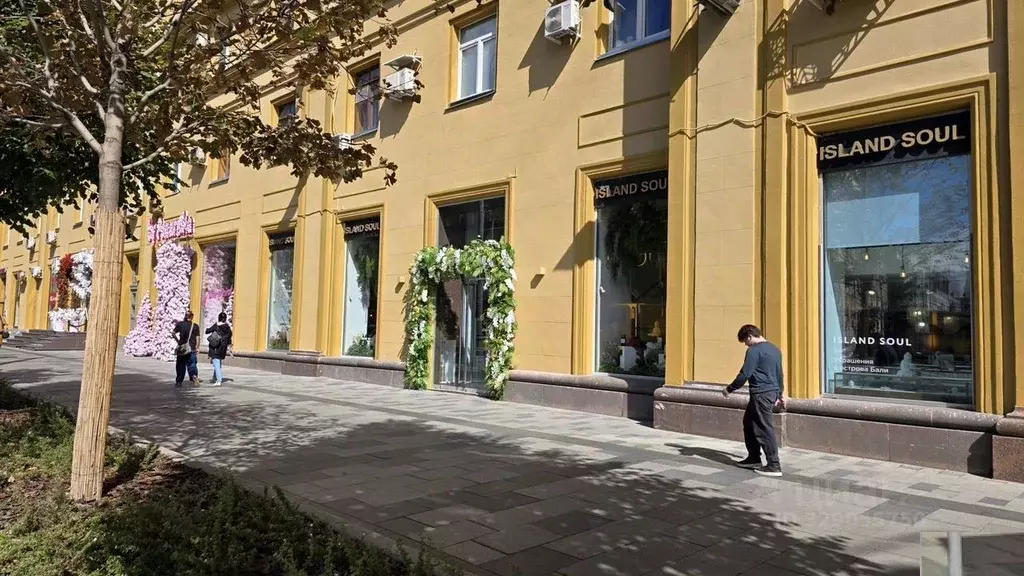 Помещение свободного назначения в Москва Садовая-Черногрязская ул., ... - Фото 1