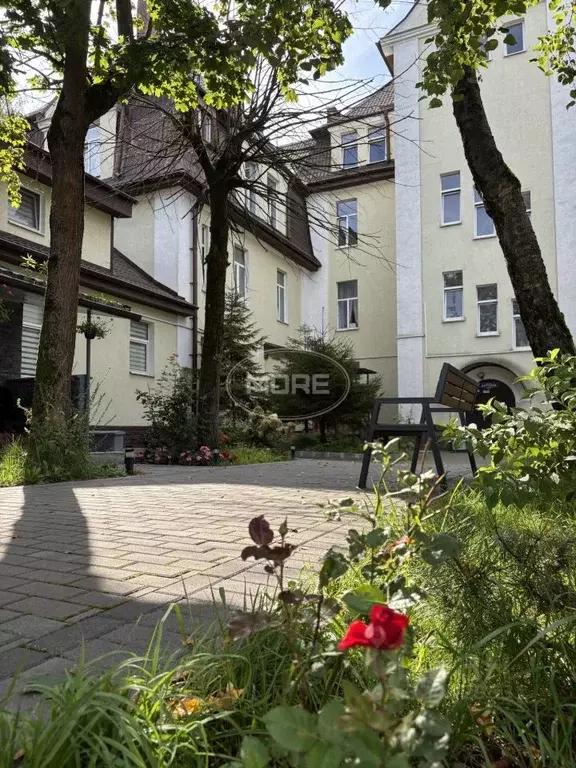 2-к кв. Калининградская область, Калининград ул. Маршала Борзова, 90 ... - Фото 2