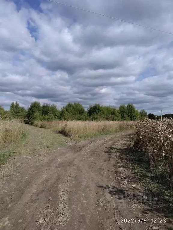 Участок в Ленинградская область, Волосовский район, д. Большая Вруда  ... - Фото 1