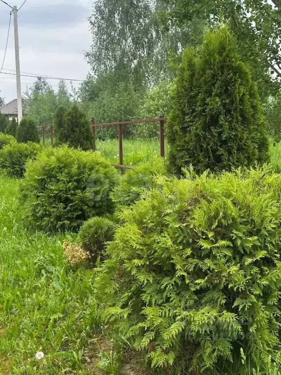 Участок в Москва Шишкино Парк кп, 104 (7.95 сот.) - Фото 1