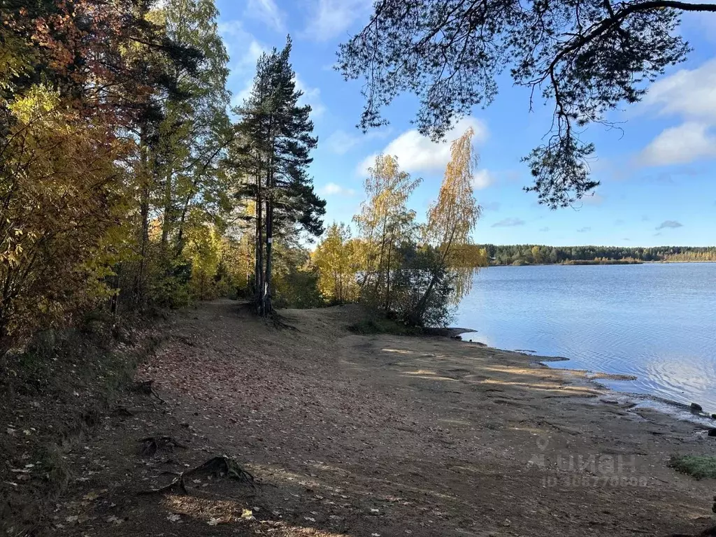 Участок в Ленинградская область, Всеволожский район, Токсовское ... - Фото 0