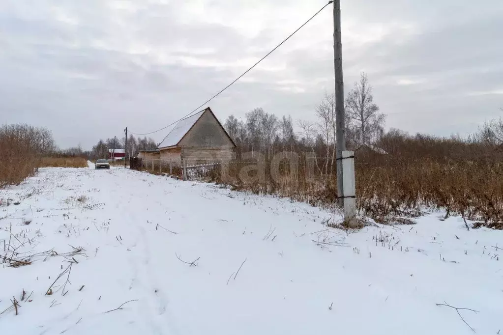 Участок в Тюменская область, Нижнетавдинский муниципальный округ, ... - Фото 1