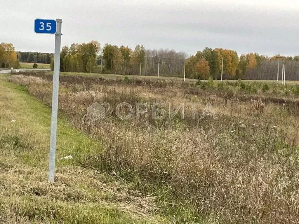 Участок в Тюменская область, Тюменский муниципальный округ, д. ... - Фото 2