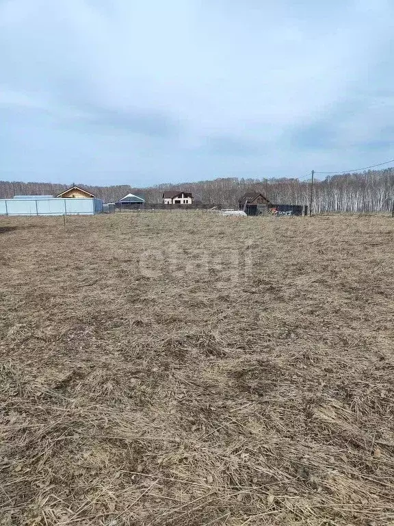 Участок в Новосибирская область, Новосибирский район, Станционный ... - Фото 0