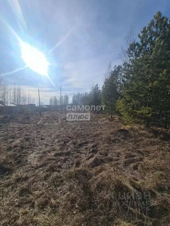 Участок в Челябинская область, Миасский городской округ, с. Черновское ... - Фото 1