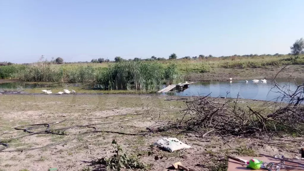 Участок 37,92 га (СНТ, ДНП) - Фото 1