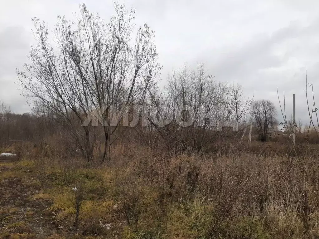 Участок в Новосибирская область, Новосибирский район, Криводановский ... - Фото 1
