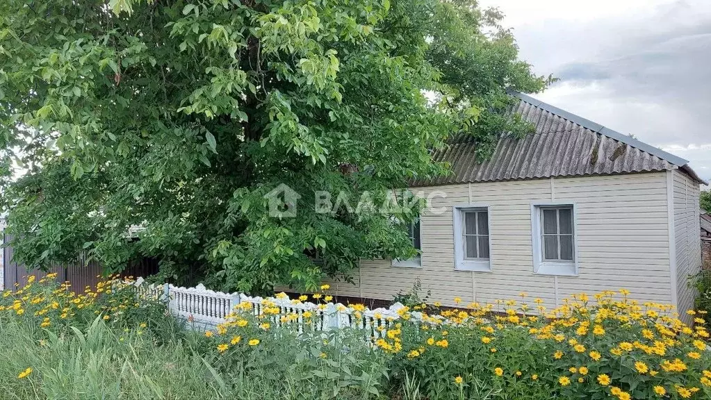 Дом в Белгородская область, Белгород Красная ул., 22 (70 м) - Фото 0
