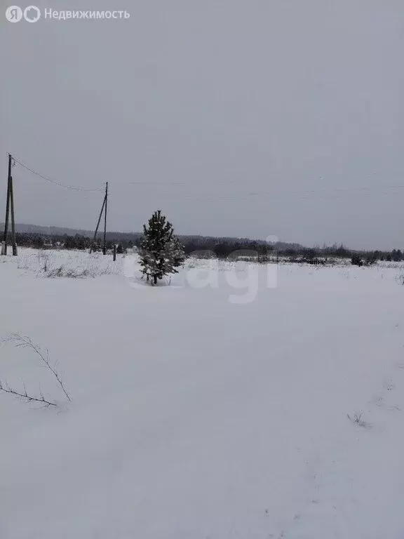 Участок в Свердловская область, Талицкий муниципальный округ, деревня ... - Фото 1