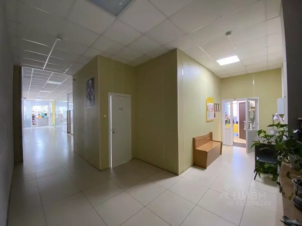 Торговая площадь в Архангельская область, Архангельск Никольский ... - Фото 0