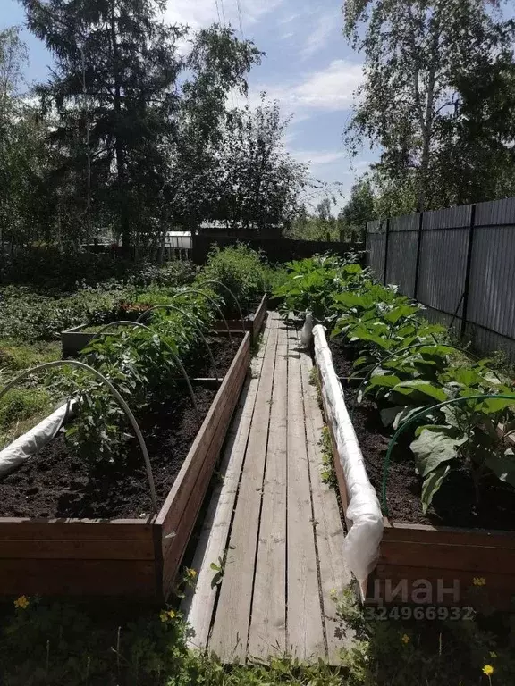 Участок в Саха (Якутия), Якутск городской округ, с. Маган  (16.0 сот.) - Фото 2