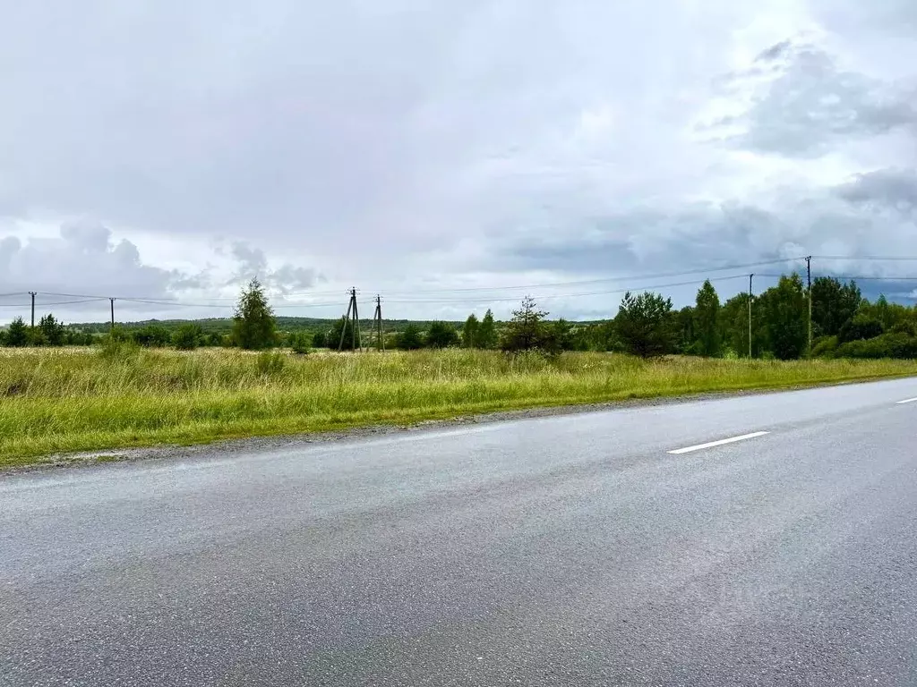 Участок в Татарстан, Пестречинский район, Богородское с/пос  (10.0 ... - Фото 2