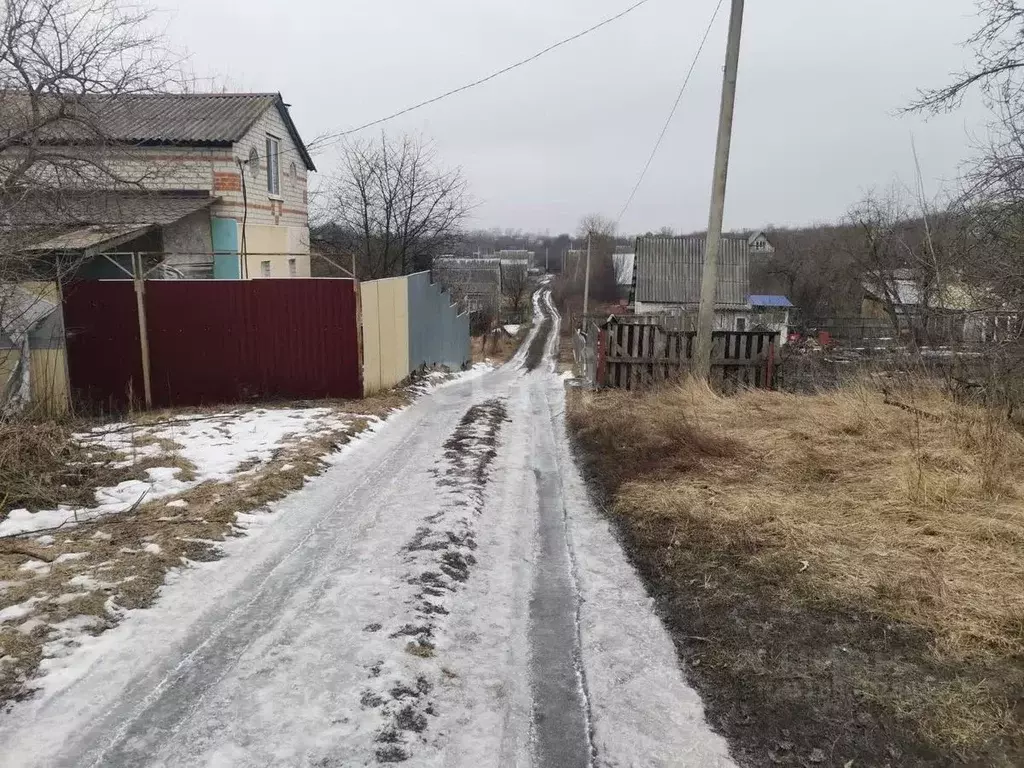 Дом в Белгородская область, Яковлевский муниципальный округ, Березка ... - Фото 0