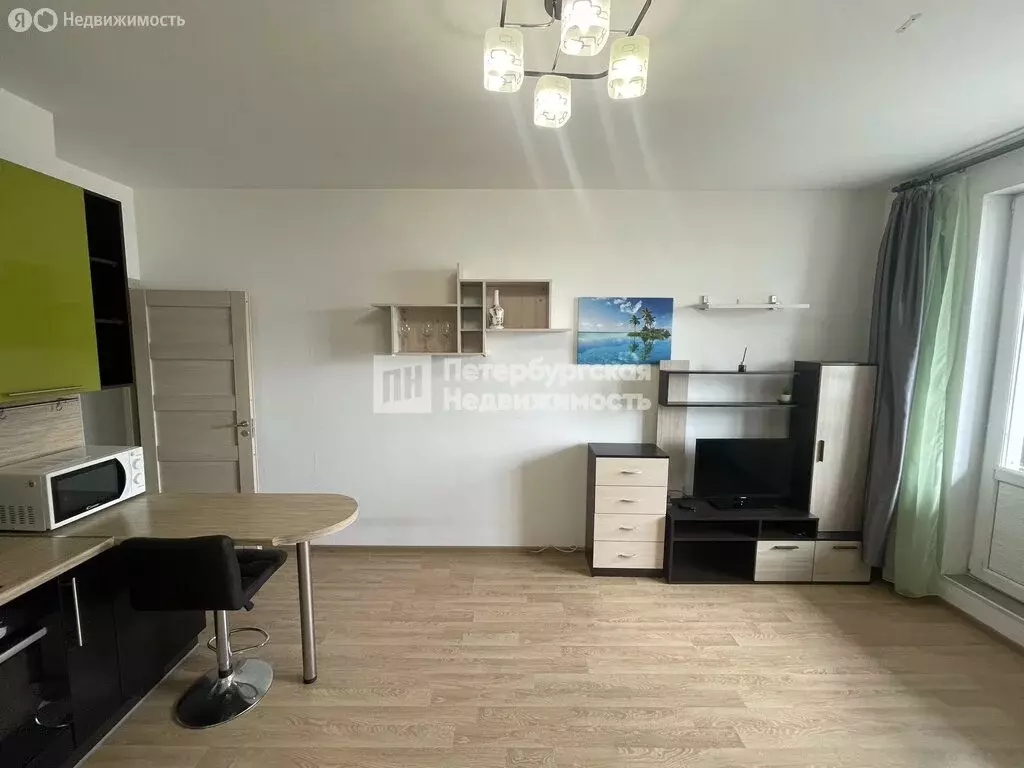 Квартира-студия: Кудрово, Венская улица, 4к1 (24.2 м) - Фото 1