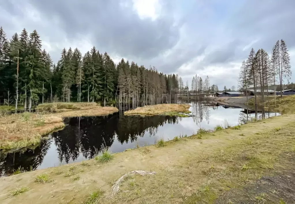 Участок в Ленинградская область, Всеволожский район, Бугровское ... - Фото 1