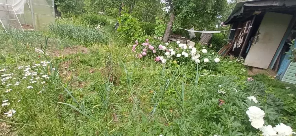 Дом в Нижегородская область, Кстово Мичуринец СНТ, 182 (20 м) - Фото 1