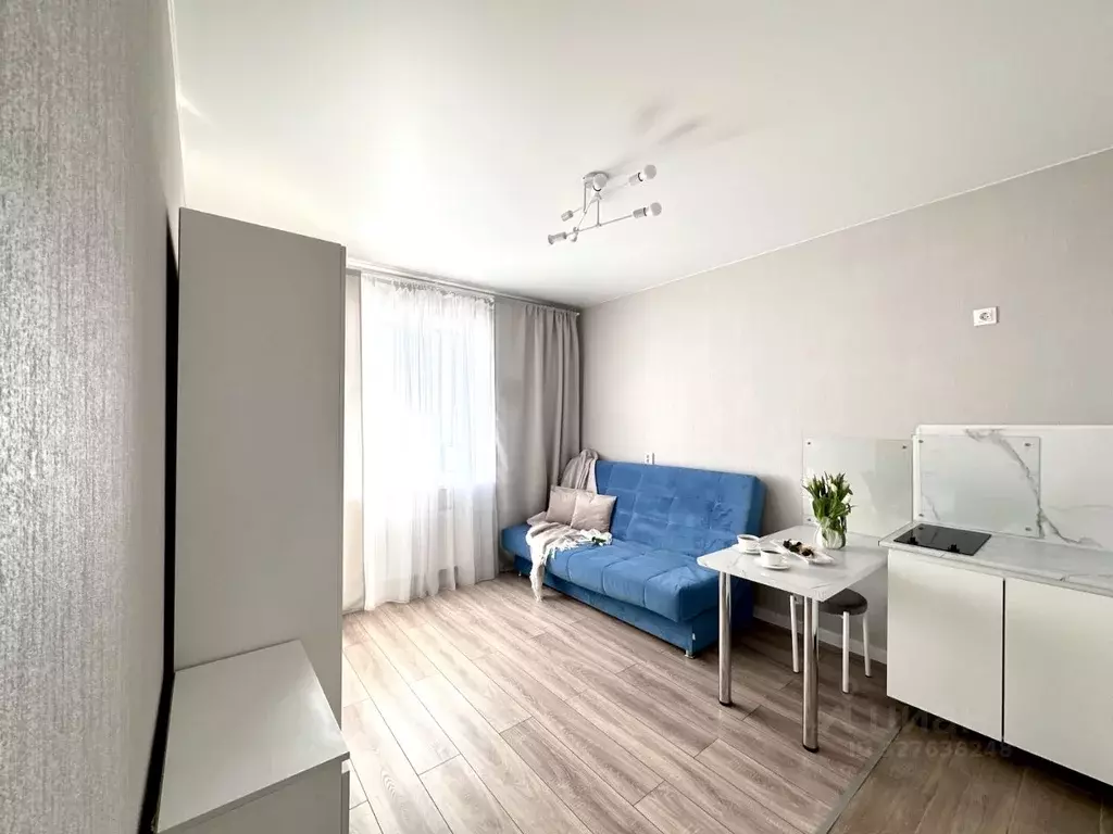 Студия Ленинградская область, Всеволожский район, д. Новое Девяткино ... - Фото 1