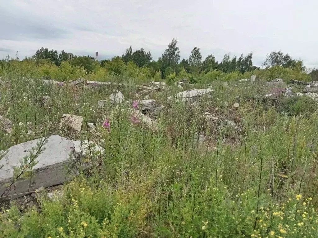 Участок в Нижегородская область, Сергач пос. Юбилейный, 59 (371.57 ... - Фото 1