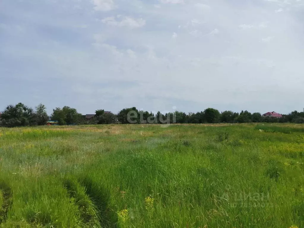 Участок в Оренбургская область, Бузулукский район, Пригородный ... - Фото 0