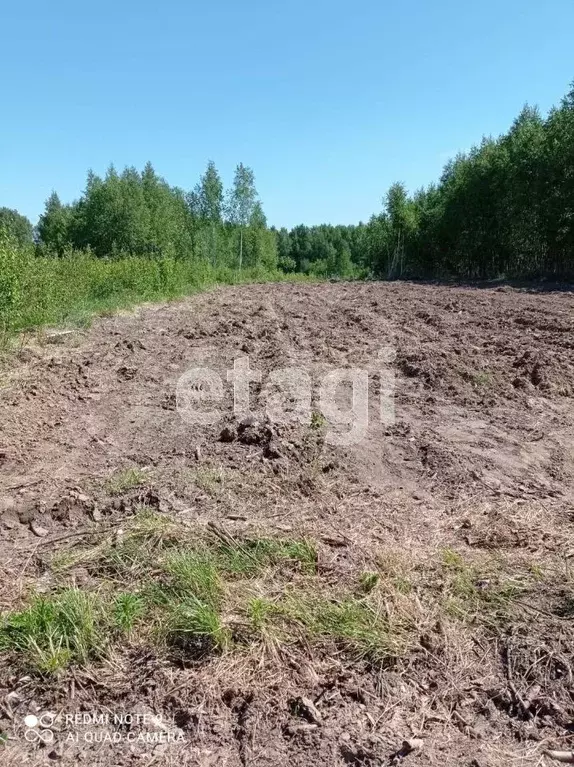 Участок в Костромская область, Костромской район, Середняковское ... - Фото 1