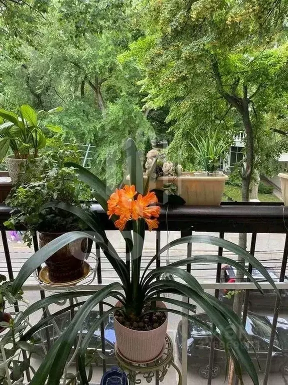 2-к кв. Воронежская область, Воронеж ул. Таранченко, 29 (43.0 м) - Фото 2