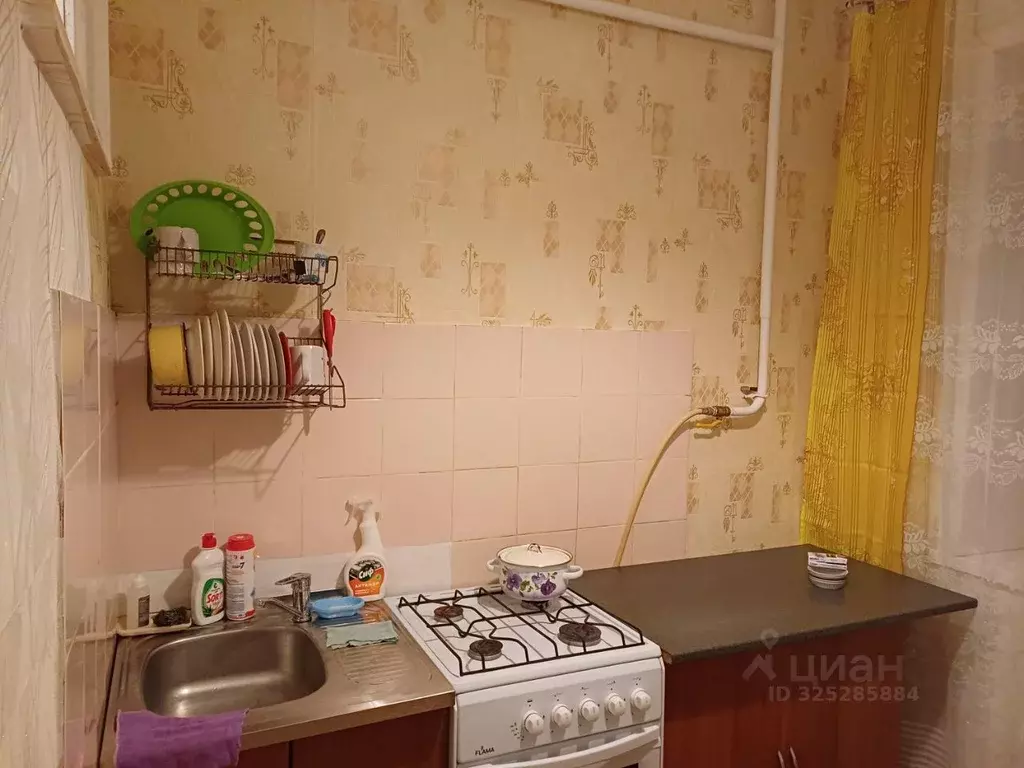 1-к кв. Пермский край, Пермь ул. Добролюбова, 14 (29.7 м) - Фото 2