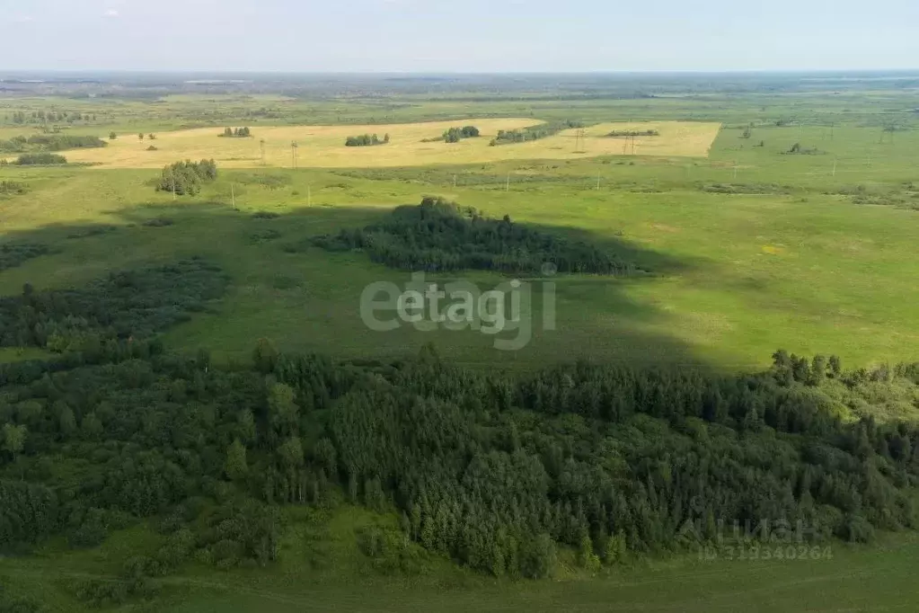 Участок в Тюменская область, Тюменский район, с. Яр  (6.0 сот.) - Фото 0