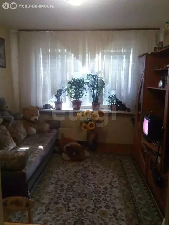 Квартира-студия: Кемерово, проспект Ленина, 53 (17.3 м) - Фото 1